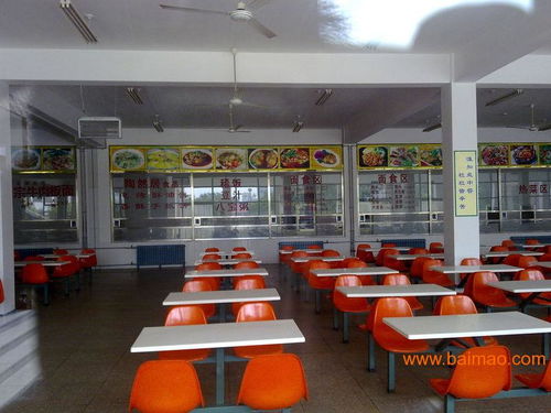 泉州餐飲管理 廠家選擇與價(jià)格指南