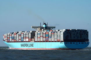 江門到煙臺實力最強的海運公司,瓷器