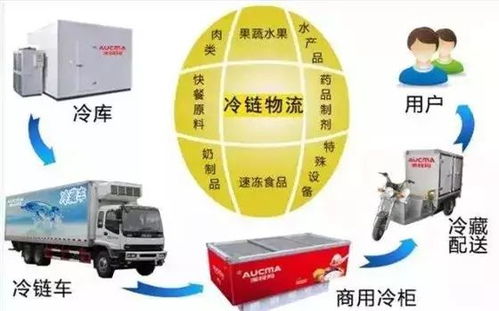 冷鏈物流 突破瓶頸、抓住機遇，推動普通貨運轉型升級